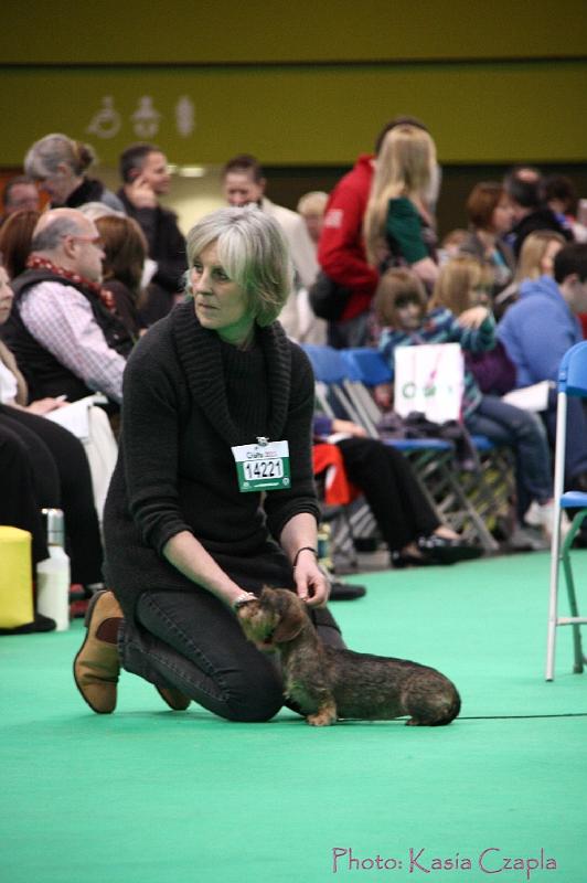 Crufts2011_2 1423.jpg